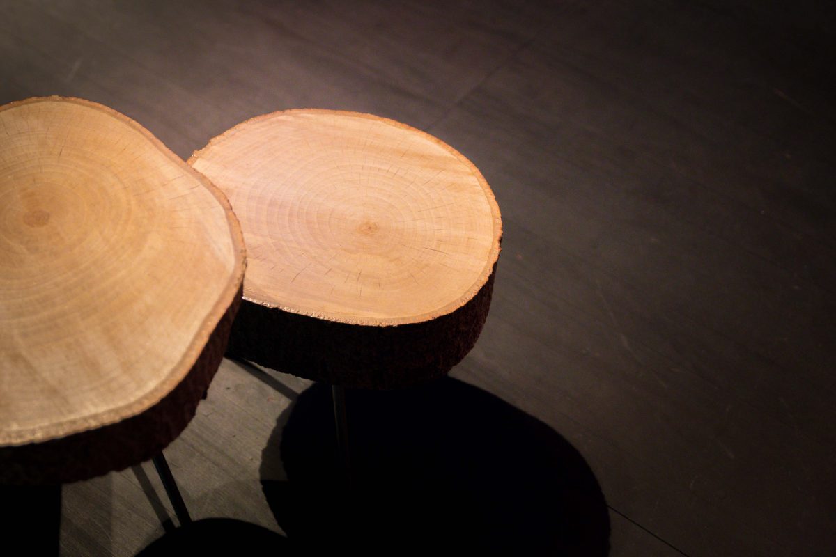 deux tables basses en rondins de bois, création agence Parade