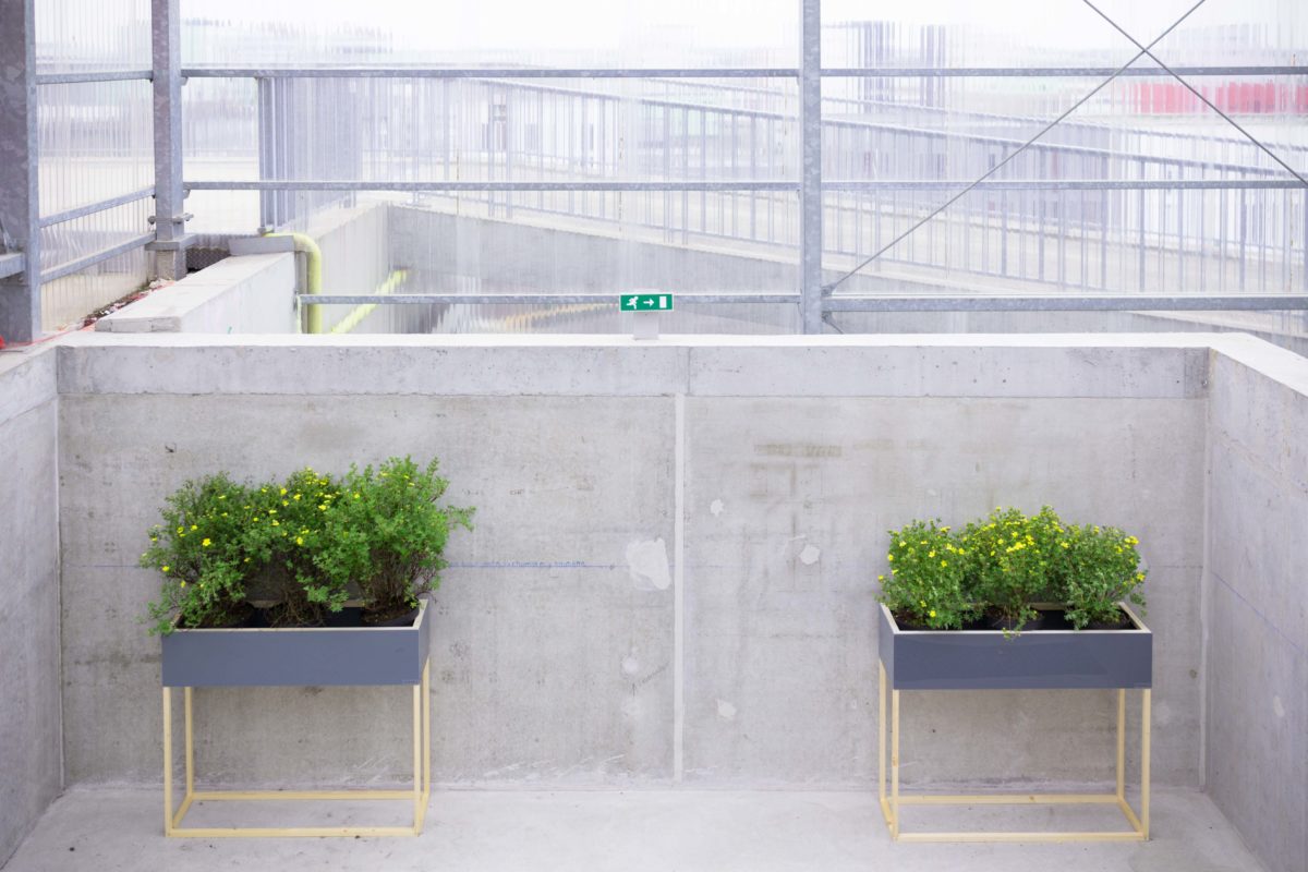 jardinières urbaines, conversation 2018, iAdvize, agence Parade