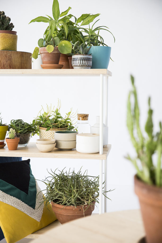 set-design, mobilier et végétaux, agence PARADE