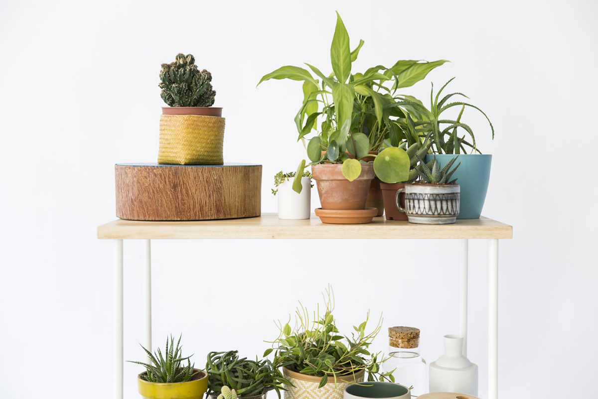 set-design, agence PARADE