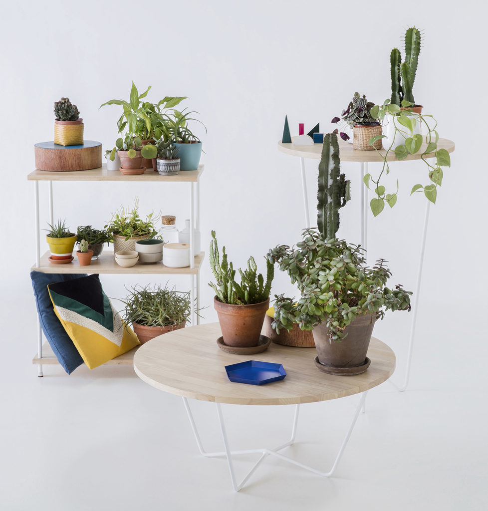 set-design, mobilier et végétaux, agence PARADE