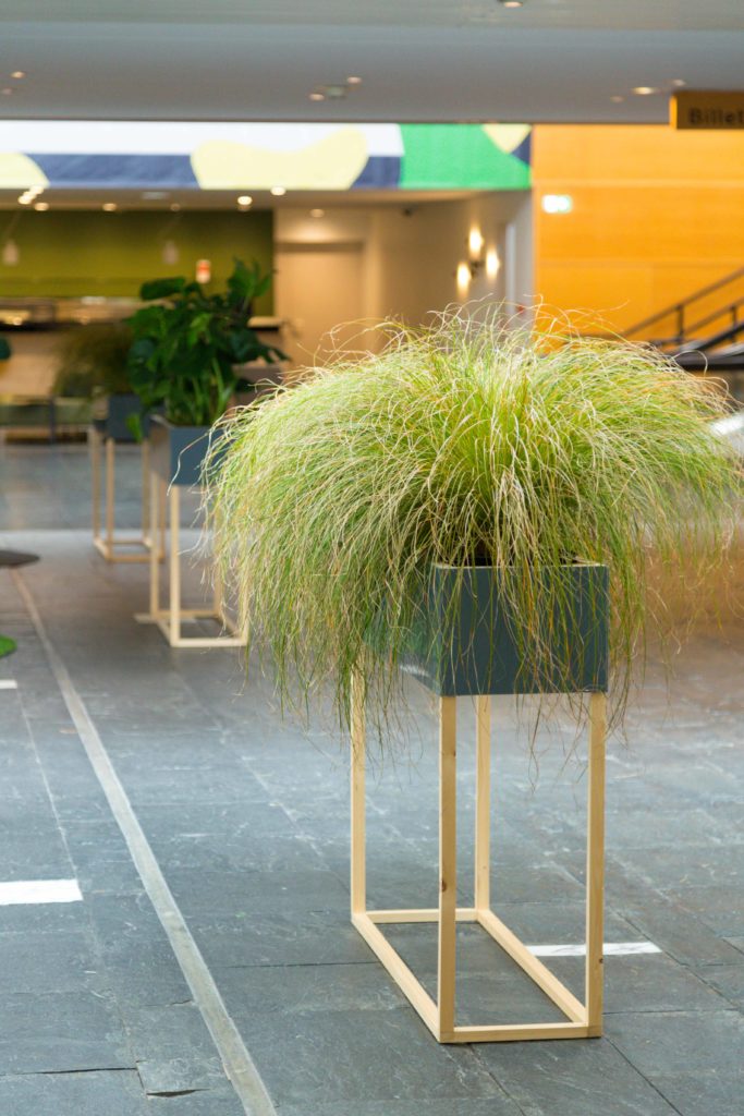 Conversation 19 iAdvize, agence Parade